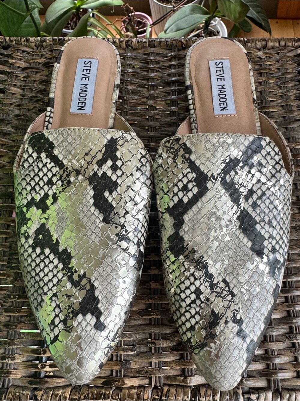 Steve Madden Pointed Snake-Print Mule slip on Flat‎ women’s size 8.5